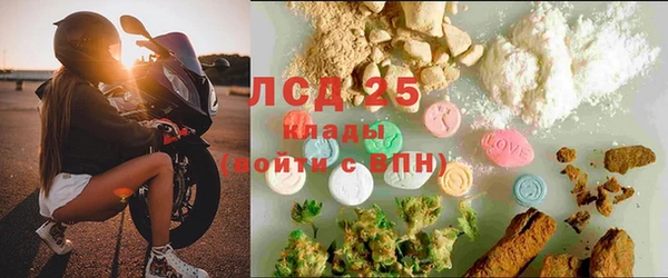 сатива Волосово