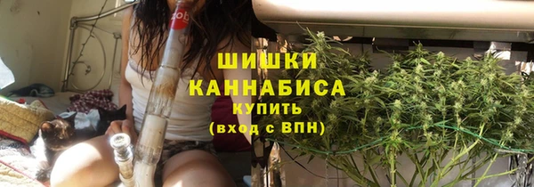сатива Волосово